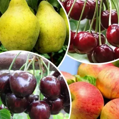 Комплект НАСЛАЖДЕНИЕ в Слуцке