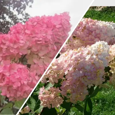 Комплект МНОГОГРАННОСТЬ в Слуцке