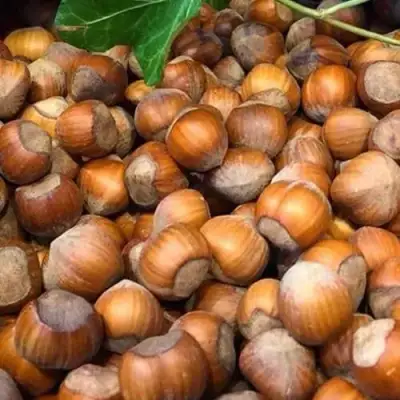 Фундук ТОНДА ДЖИФФОНИ в Слуцке