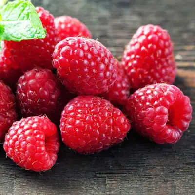 Малина ЭРИКА в Слуцке