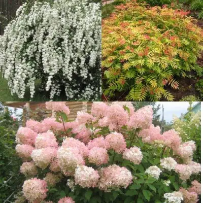 Комплект ФЕЙЕРВЕРК ЛЕТА в Слуцке