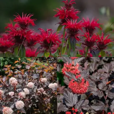 Комплект ОГНЕННЫЙ МИКС в Слуцке