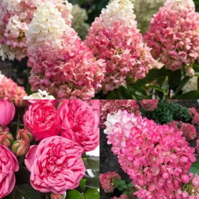 Комплект МАЛИНОВЫЙ ДЕСЕРТ в Слуцке