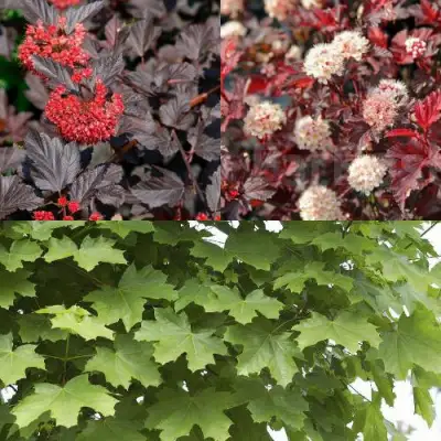 Комплект ОСЕННИЙ КОСТЕР в Слуцке