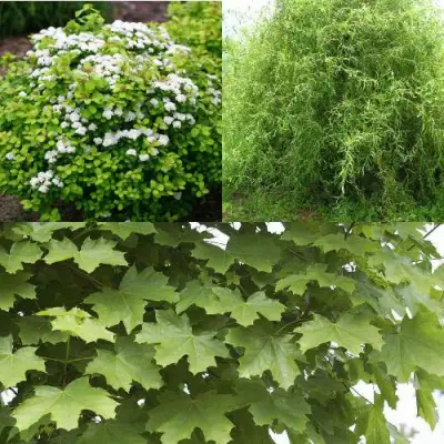 Комплект ЗЕЛЕНЫЙ ОАЗИС в Слуцке