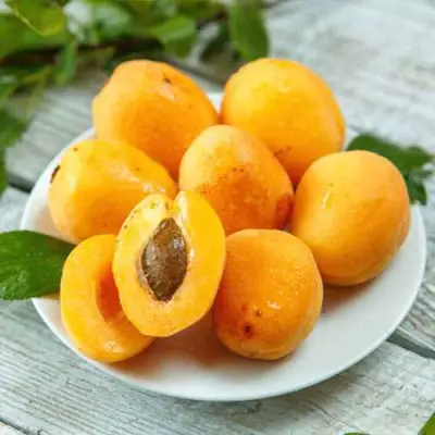 Абрикос АНАНАСНЫЙ в Слуцке