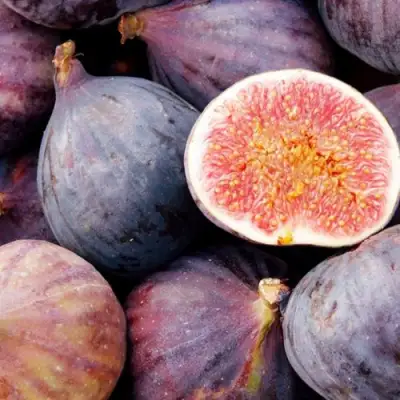 Инжир МУАССОН в Слуцке