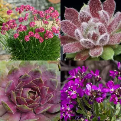 Комплект МИНИ САД в Слуцке