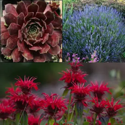 Комплект ФИОЛЕТОВОЕ ВДОХНОВЕНИЕ в Слуцке