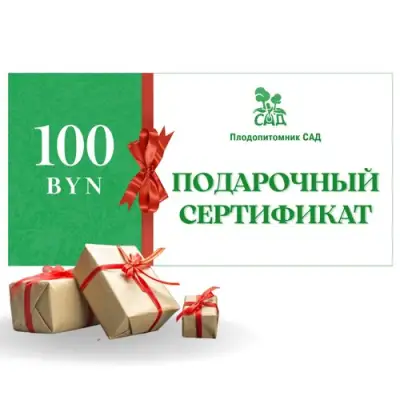 Подарочный сертификат на 100 BYN в Слуцке