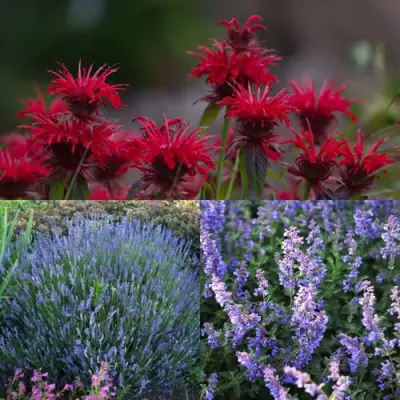 Комплект АРОМАТНЫЙ ЧАЙ в Слуцке