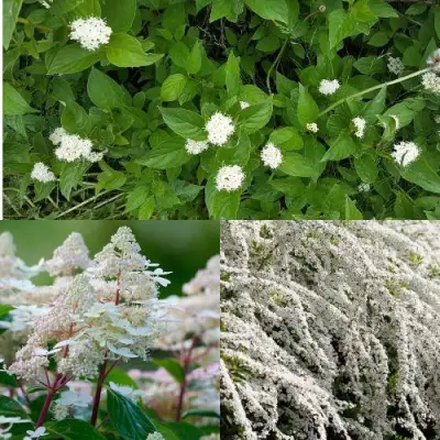 Комплект СКАНДИНАВСКИЙ СТИЛЬ в Слуцке