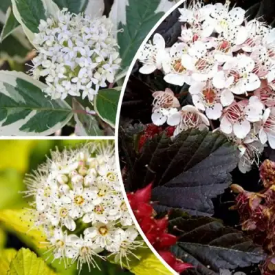 Комплект ЯРКАЯ ВСПЫШКА в Слуцке