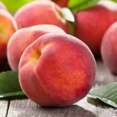 Персик МАЙСКИЙ ЦВЕТОК в Слуцке