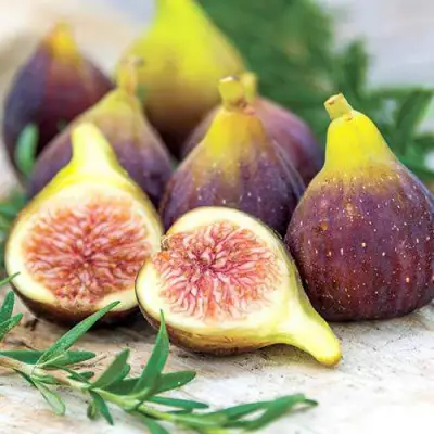 Инжир НИКИТСКИЙ в Слуцке