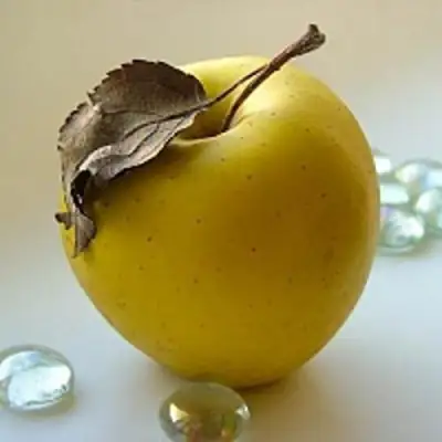 Яблоня АНАНАС в Слуцке