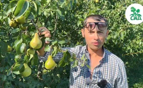 Превью видео