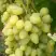 Виноград ЗАРНИЦА в Слуцке