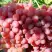 Виноград КИШМИШ КРАСНЫЙ в Слуцке