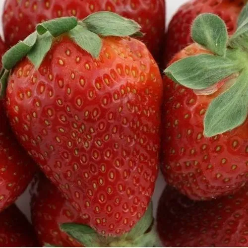 Клубника ФЛАМИНИЯ  Клубника ФЛАМИНИЯ в Слуцке