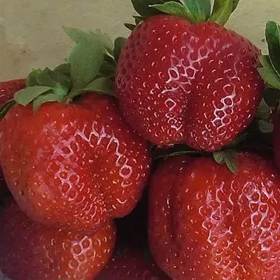 Клубника ДЕСТЕНИ в Слуцке