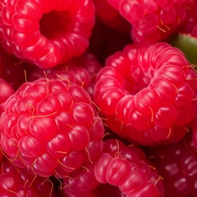 Красная в Слуцке