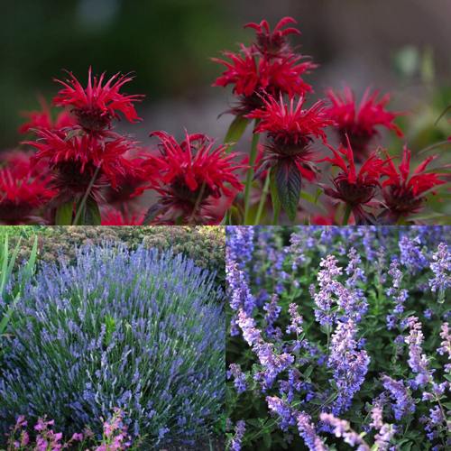 Комплект АРОМАТНЫЙ ЧАЙ в Слуцке