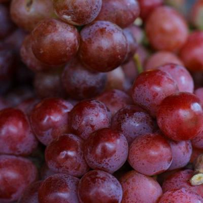 Красный в Слуцке