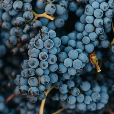 Технический в Слуцке