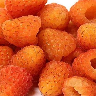 Оранжевая в Слуцке