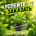 УСПЕЙТЕ ЗАКАЗАТЬ УСПЕЙТЕ ЗАКАЗАТЬ в Слуцке